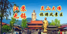 日美韩特级性爱江苏无锡灵山大佛旅游风景区